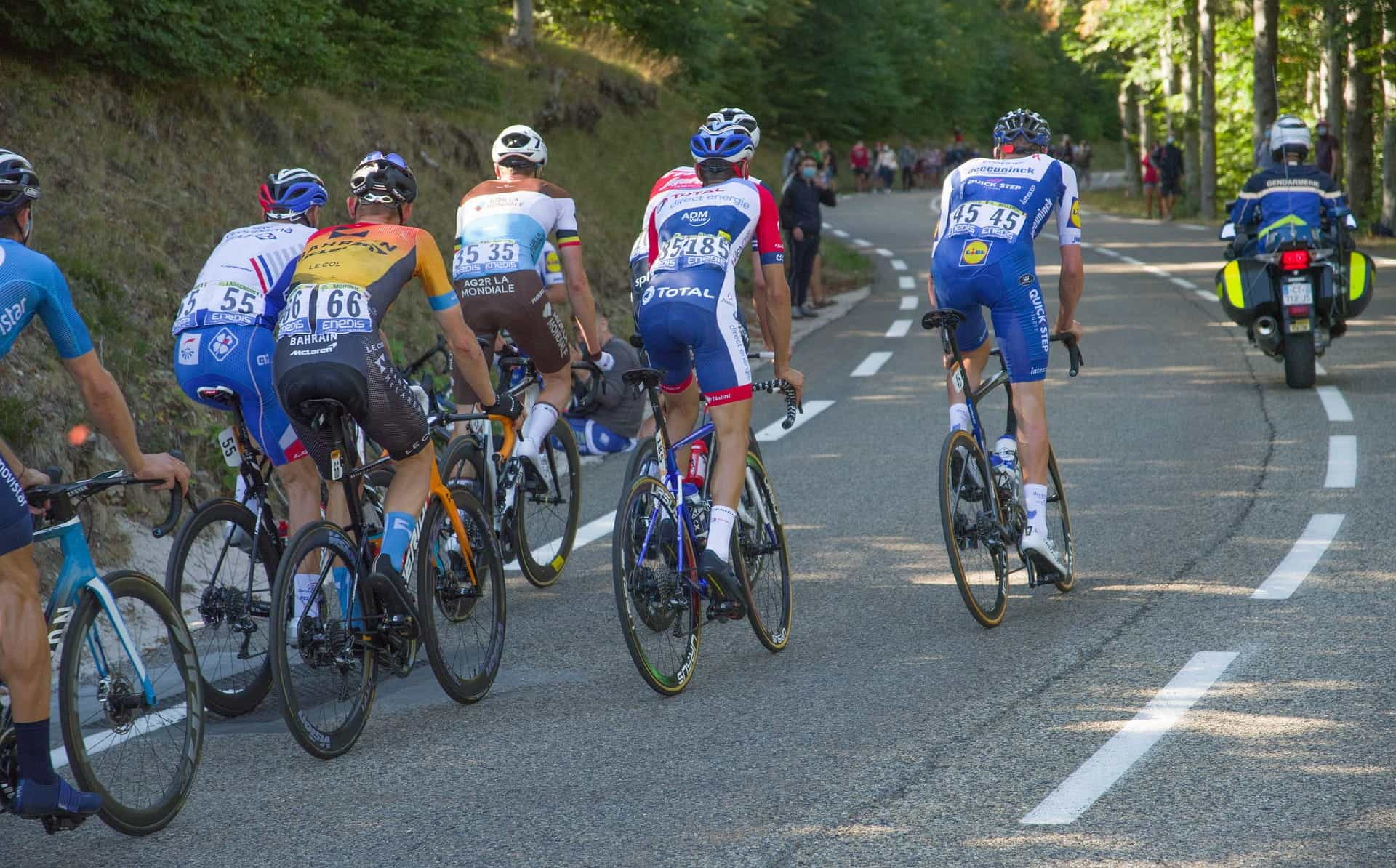 Cyclists competing in the Tour de France.